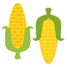 corn