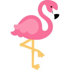 flamingo - fun in the sun