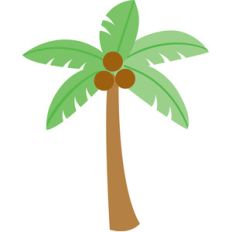 palm tree - fun in the sun