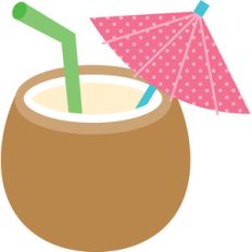 coconut drink - fun in the sun