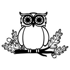 personalizable owl