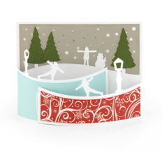 a2 flexi card ice skating