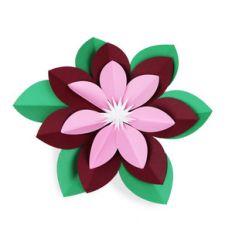 poinsettia 3d flower