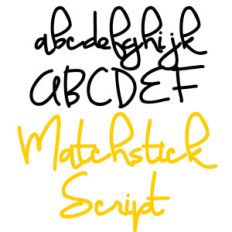zp matchstick script