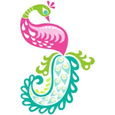 pretty peacock
