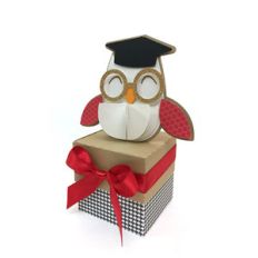 degree owl box