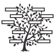 family tree