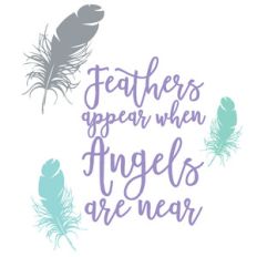 feathers appear quote