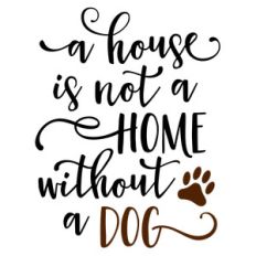 a house is not a home without a dog