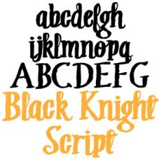 ld black knight script