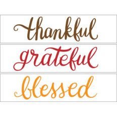 thankful grateful blessed lightbox words