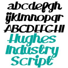 zp hughes industry script