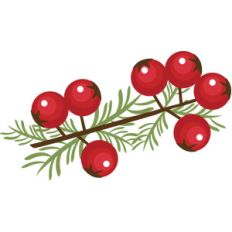 berry sprig