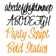 snf party script bold italics