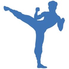 karate side kick