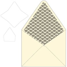announcement style envelope with liner