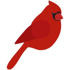 cardinal