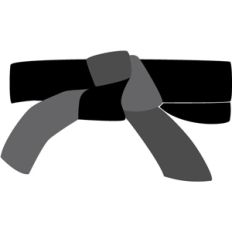 martial arts belt