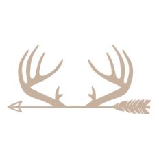 antlers arrow