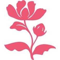 'elegant' flower