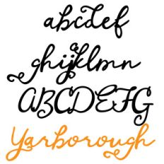 zp yarborough
