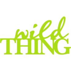 wild thing