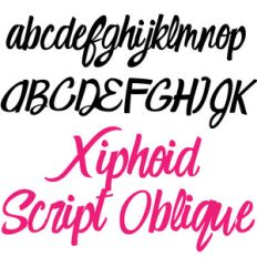 zp xiphoid script oblique