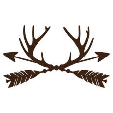 trophy antler arrows
