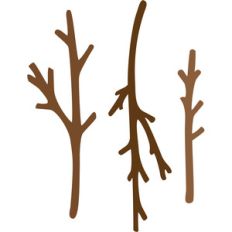 sticks and twigs