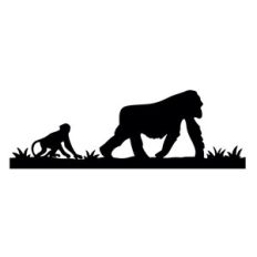 monkey border