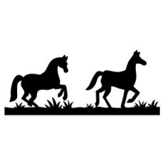 horse border