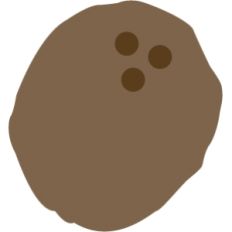 Coconut