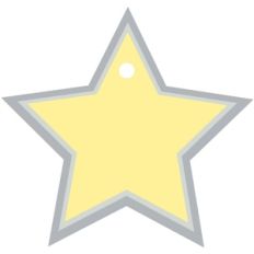 metal tag star