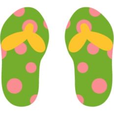 Flip Flops