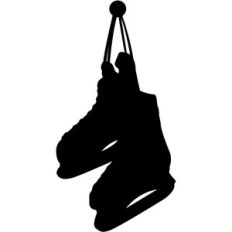 ice hockey skates