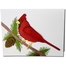 stacked cardinal bird card