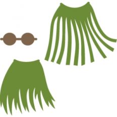Hula costume