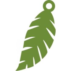 Palm Leaf