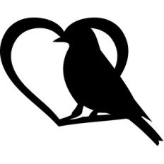 bird heart