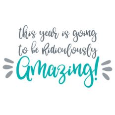 ridiculously amazing year