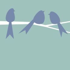 modern birds