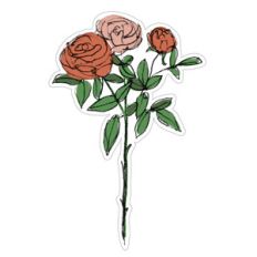 rose sketch