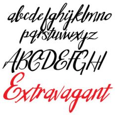 zp extravagant