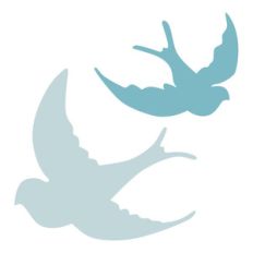 bird couple