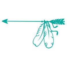 arrow feathers