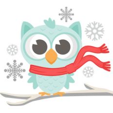winter owl