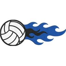 fire flourish - volleyball