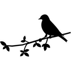 bird on branch