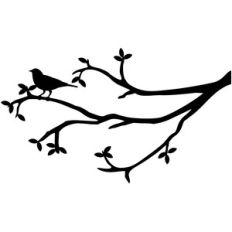 bird and branches