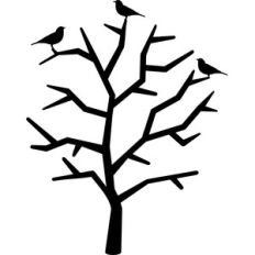 birds on tree